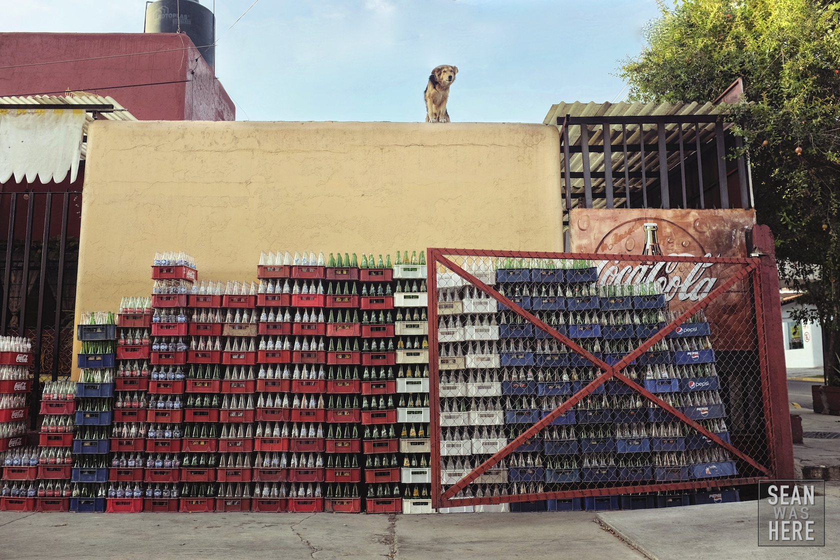 Stacks on stacks of coke bottles. Oaxaca, Mexico.