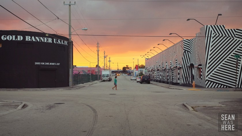 Wynwood Miami Sunset, 2012