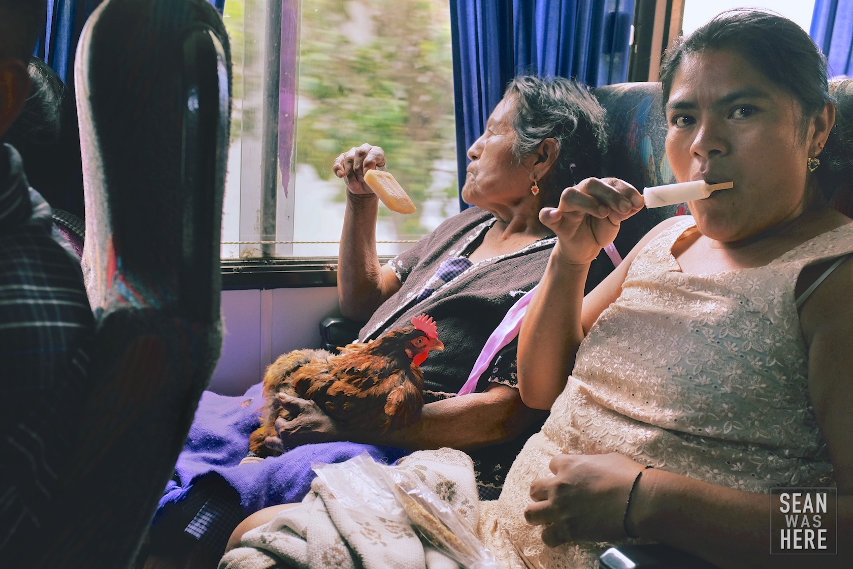 On The Bus. Oaxaca, Mexico