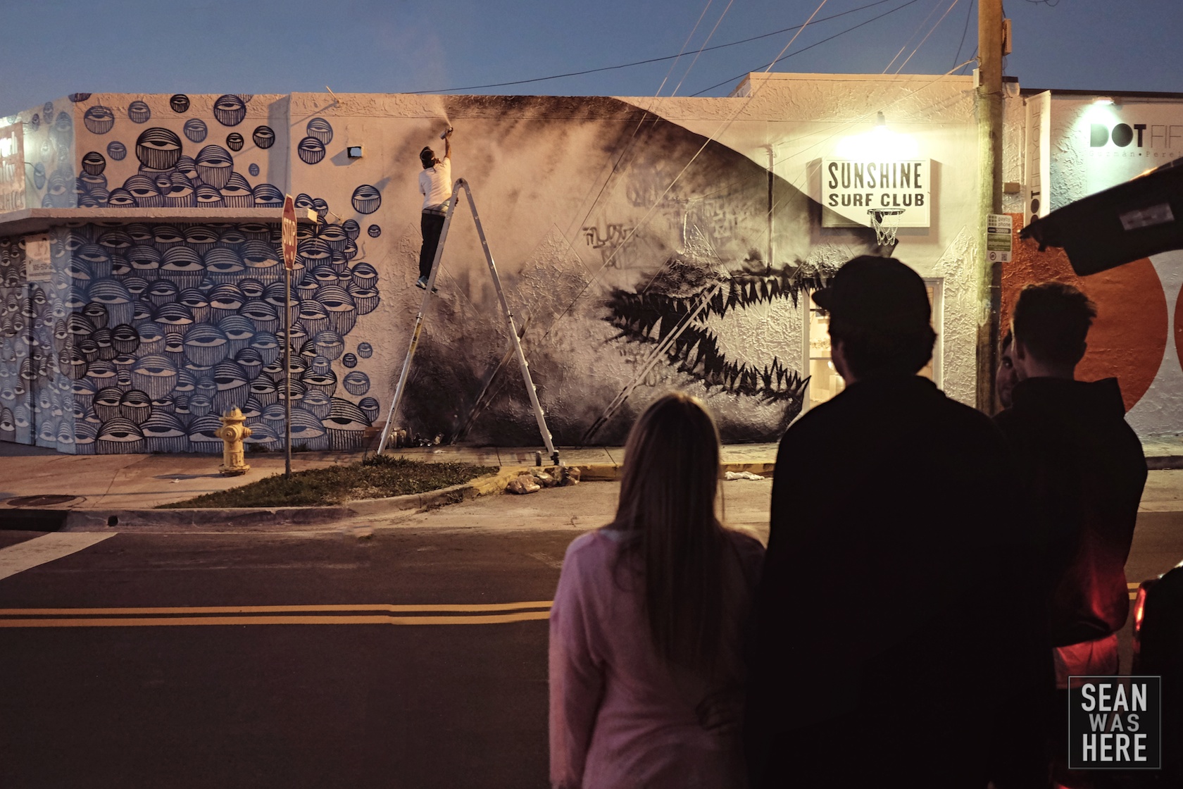 Shak Toof Mural. Wynwood Miami 2014